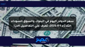 سعر الدولار اليوم في البنوك والسوق السوداء الثلاثاء 1-4-2025: تعرف على التفاصيل الآن!